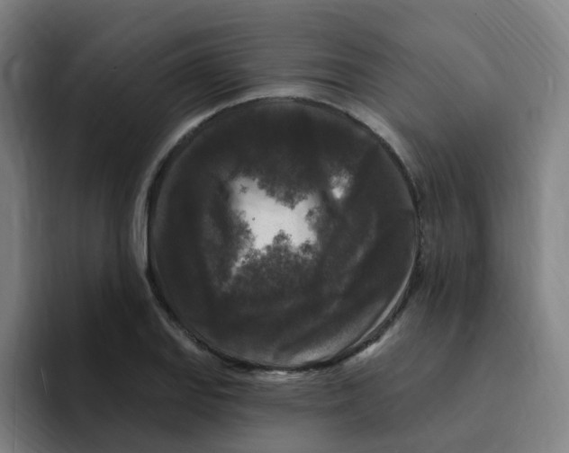 X0000094941127200712271607