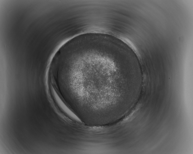 X0000094941128200712271607