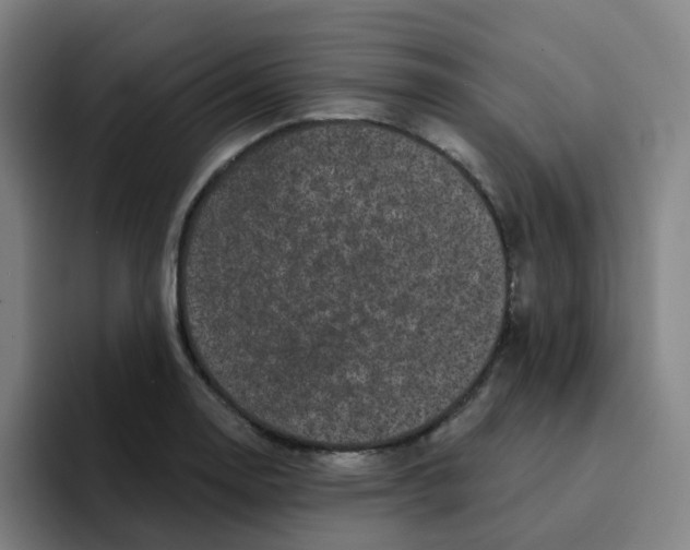 X0000094941130200712271607