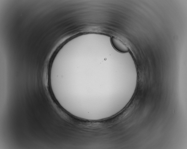 X0000094941131200712271607