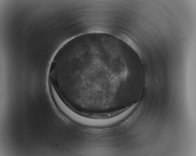 X0000094941132200712271607