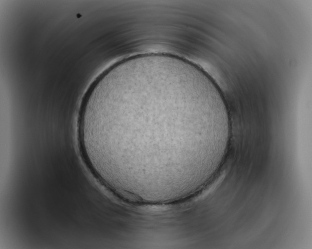 X0000094941134200712271607