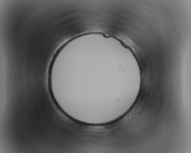 X0000094941135200712271607