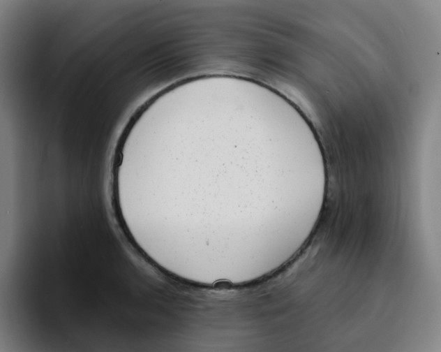 X0000094941136200712271607