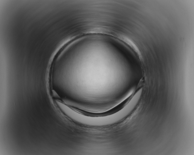 X0000094941138200712271607