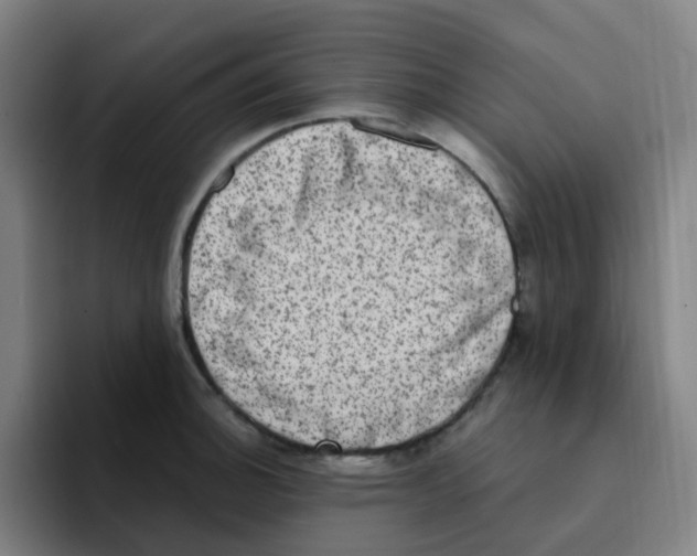 X0000094941140200712271607