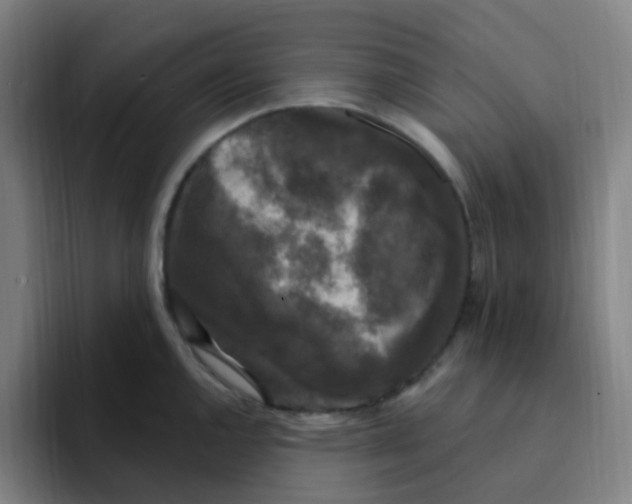 X0000094941144200712271607