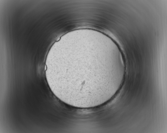 X0000094941145200712271607