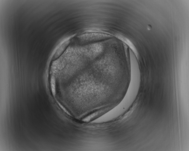X0000094941146200712271607
