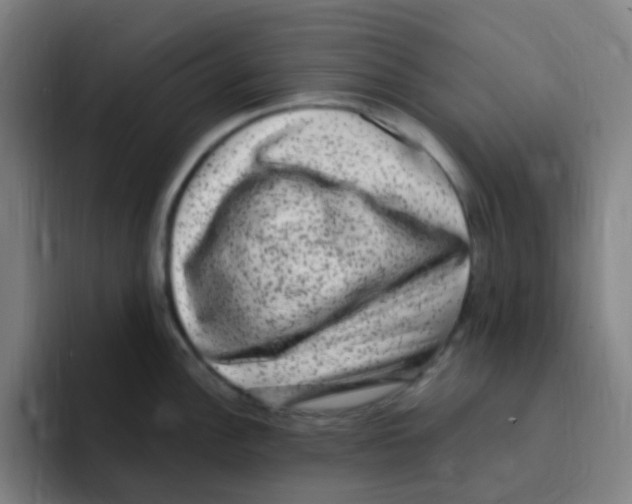 X0000094941148200712271607