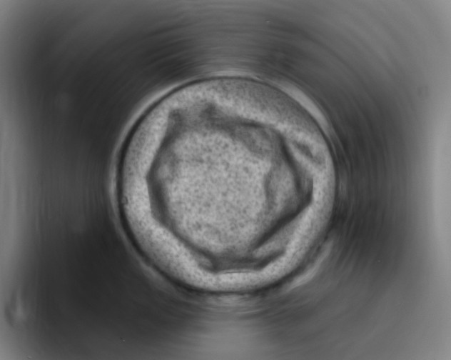 X0000094941149200712271607