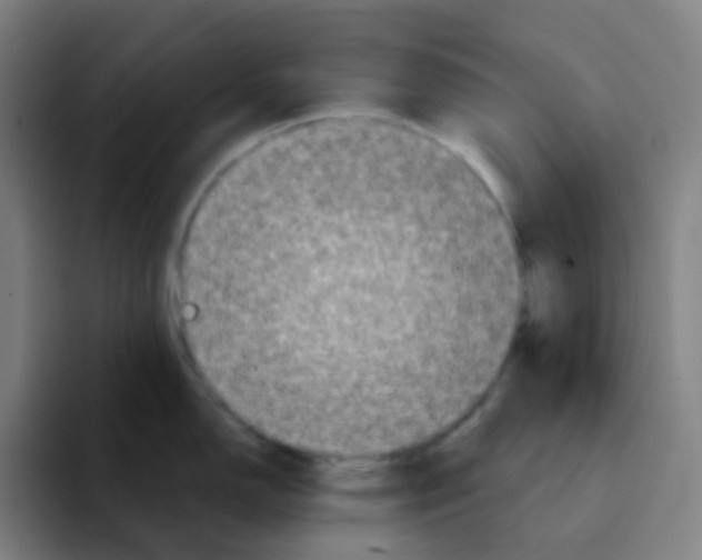 X0000094941150200712271608