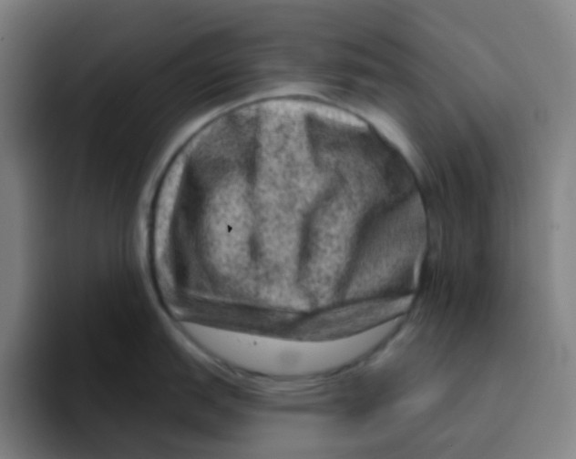 X0000094941151200712271608