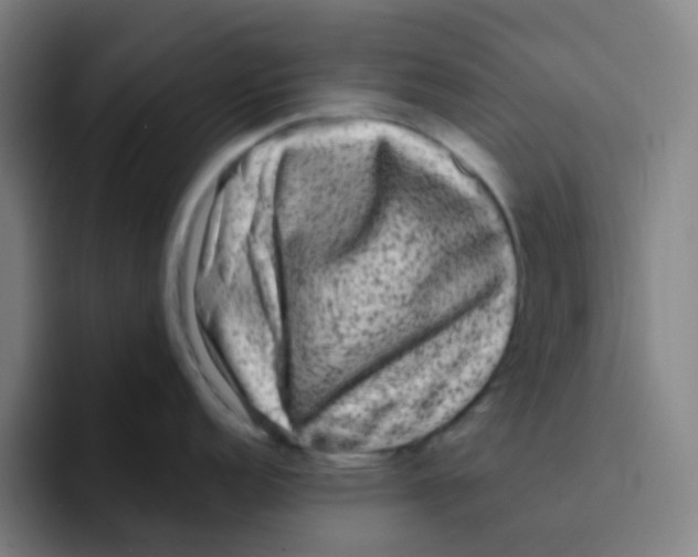 X0000094941152200712271608