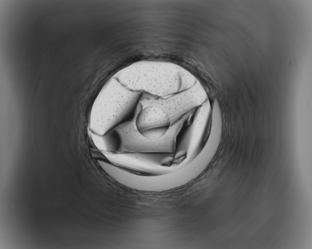 X0000094941153200712271607