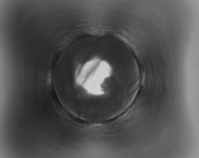 X0000094941154200712271607