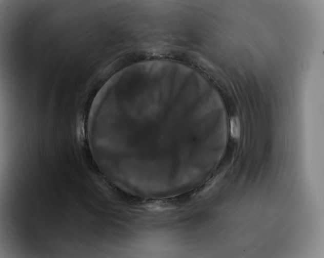 X0000094941155200712271607