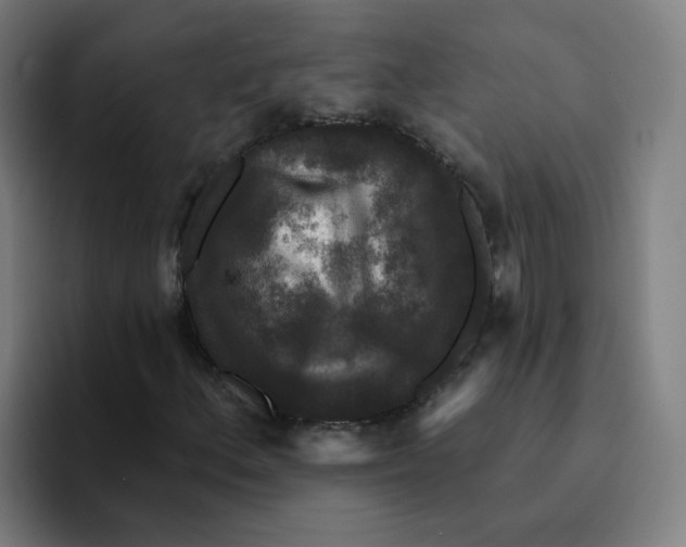 X0000094941156200712271607