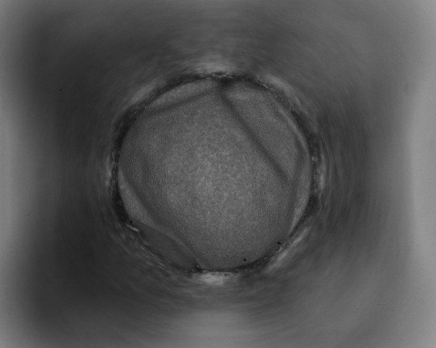 X0000094941157200712271607