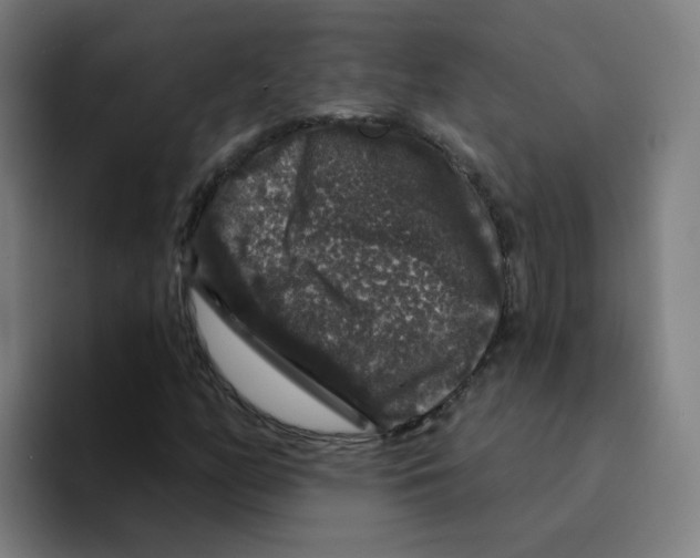 X0000094941158200712271607