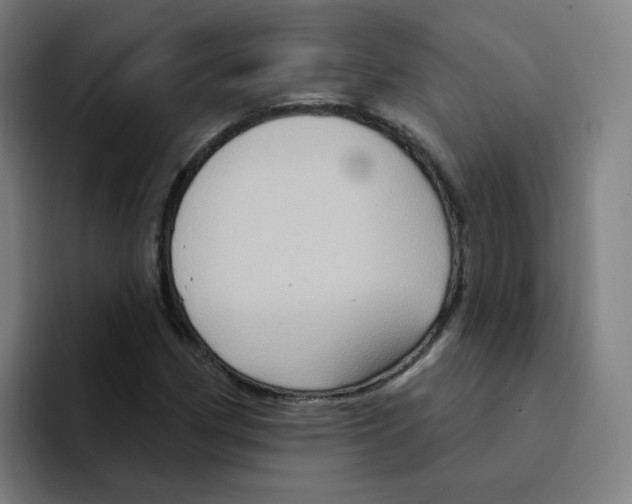 X0000094941162200712271607