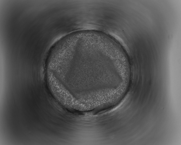 X0000094941163200712271607