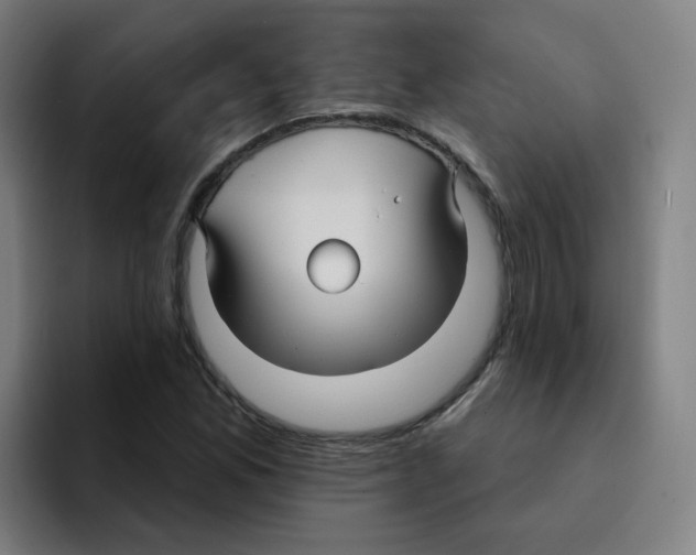 X0000094941165200712271607