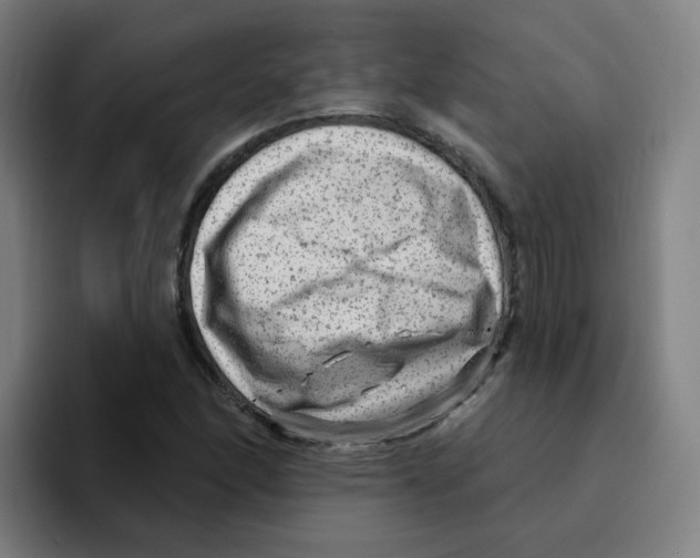 X0000094941166200712271607