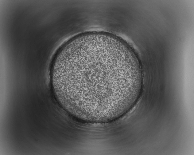 X0000094941167200712271607