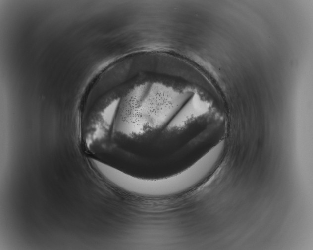 X0000094941171200712271607