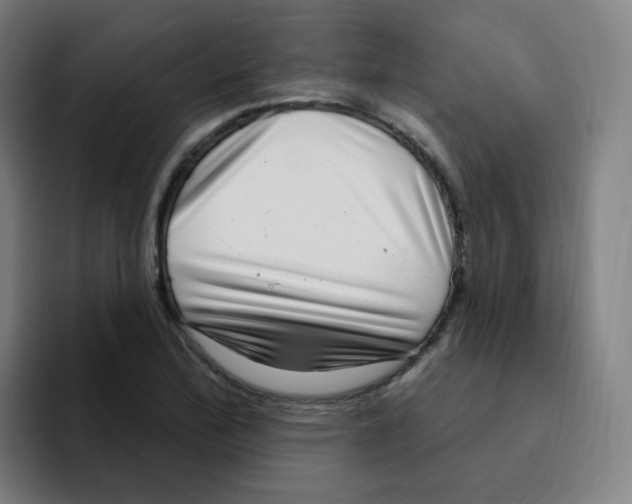 X0000094941172200712271607