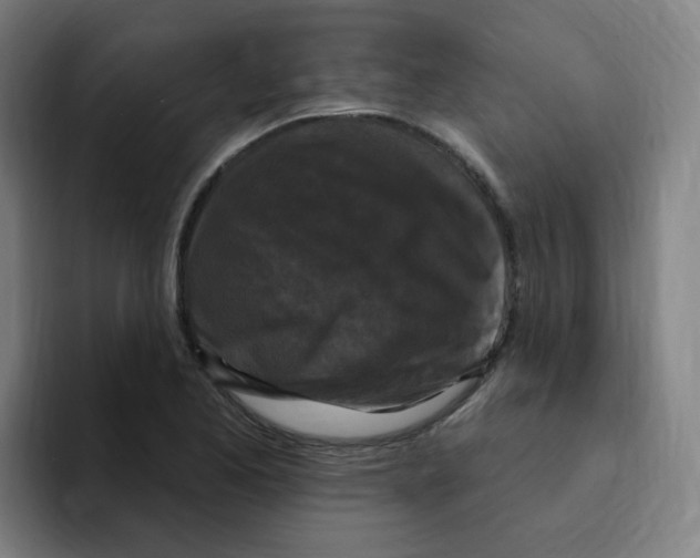 X0000094941173200712271607
