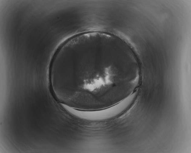 X0000094941174200712271607