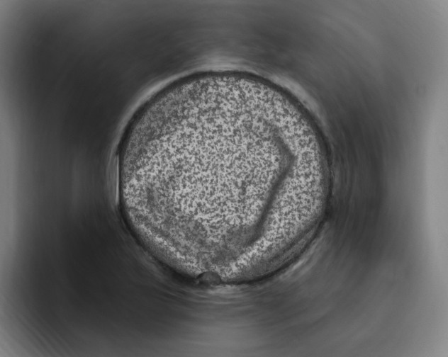 X0000094941175200712271607