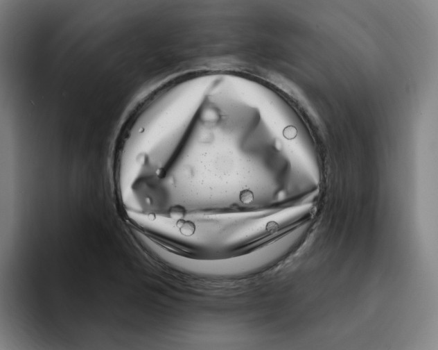 X0000094941176200712271607
