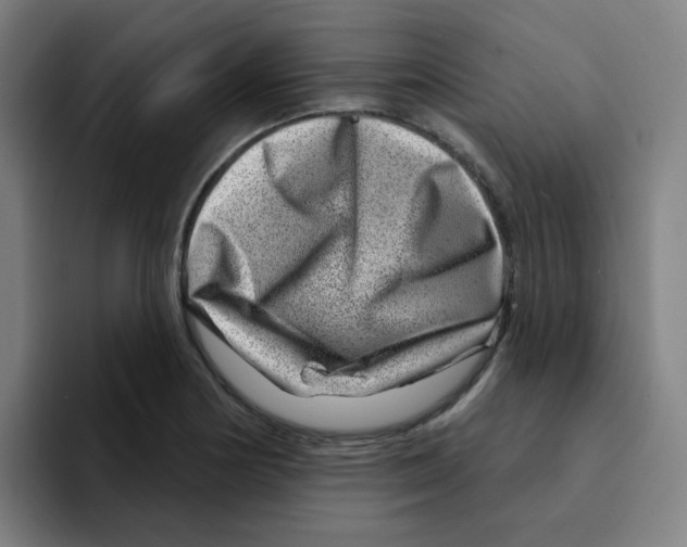 X0000094941178200712271607