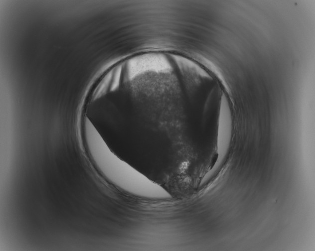 X0000094941179200712271607
