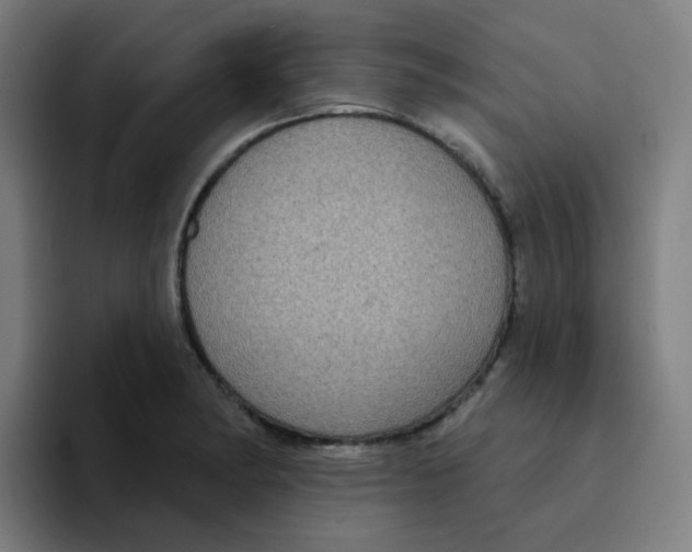 X0000094941182200712271607