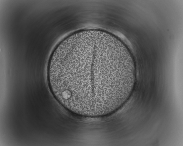X0000094941183200712271607