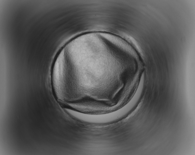 X0000094941184200712271607