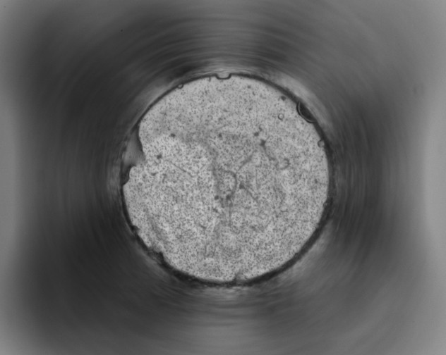 X0000094941185200712271606