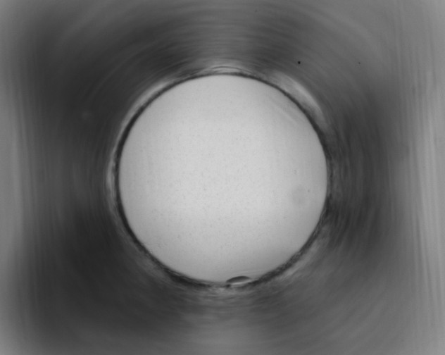 X0000094941190200712271606