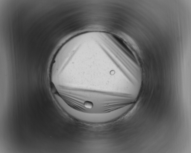 X0000094941192200712271606