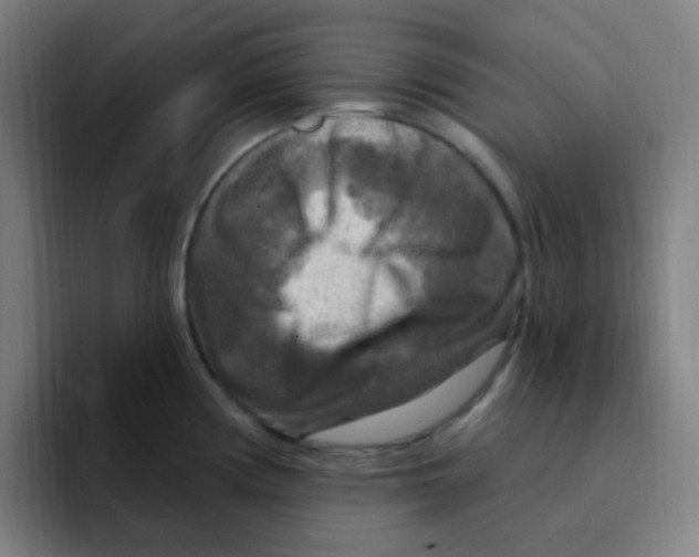 X0000094941194200712271606