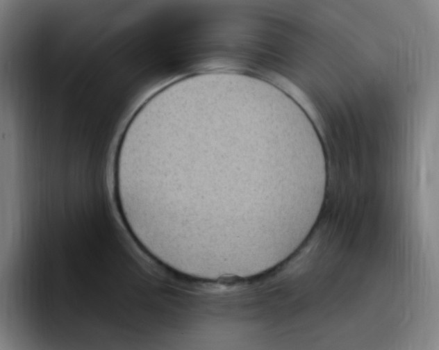 X0000094941195200712271606