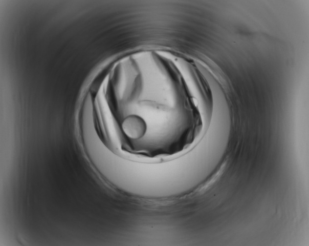 X0000094941196200712271606