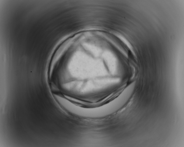 X0000094941197200712271606