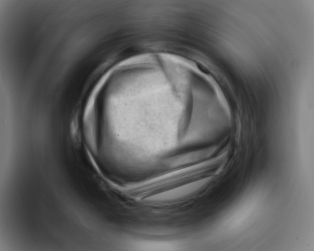 X0000094941198200712271606