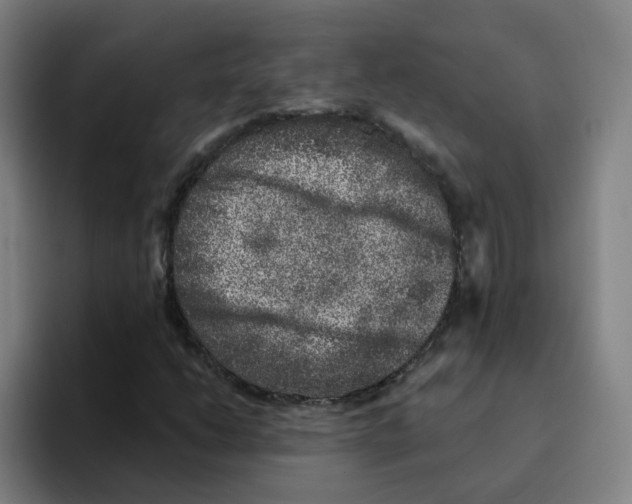 X0000094941206200712271606