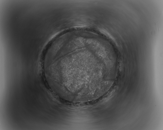 X0000094941208200712271606